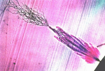 HVA45TD,<a href='http://www.tianyi777.com/Ppzq/b2.html'>B2HV</a>