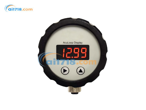 英國(guó)SHAW AcuLoop 插入式顯示器