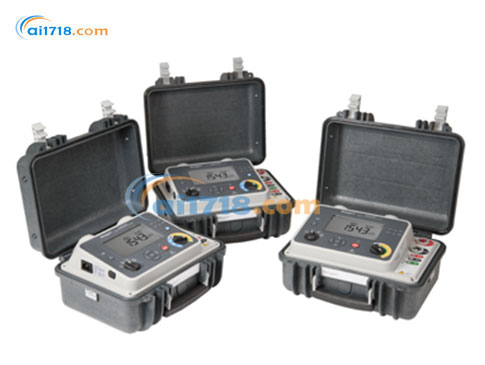 DLRO100HB便攜微歐表