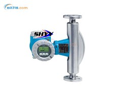 80F質(zhì)量流量計(jì)